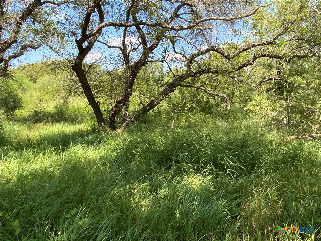 7 County Road 1144, Unit 7 Sinton, TX 78387 - Photo 2 of 12 a view of tree