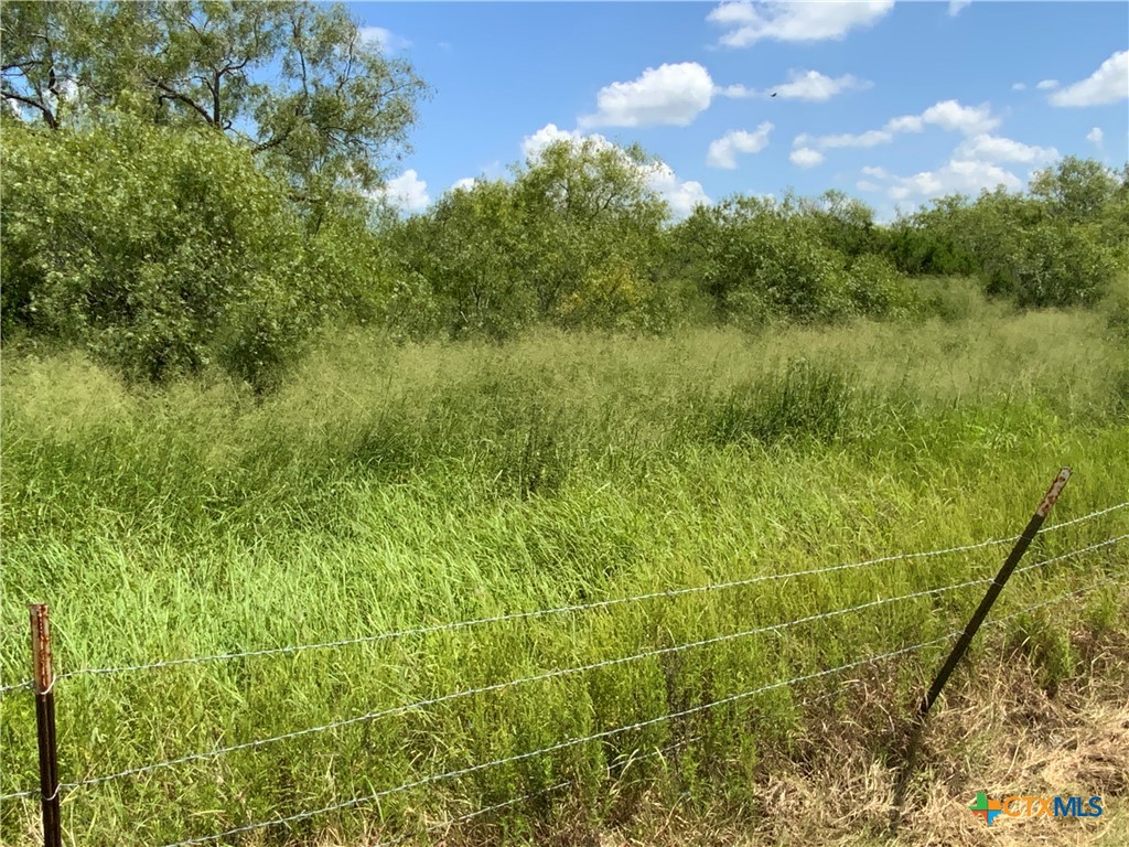 7 County Road 1144, Unit 7 Sinton, TX 78387 - Photo 3 of 12 a view of a garden