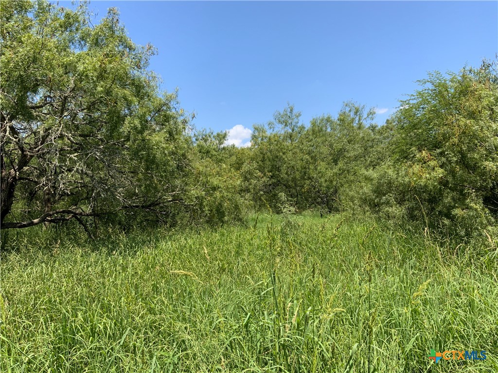 7 County Road 1144, Unit 7 Sinton, TX 78387 - Photo 4 of 12 a view of a garden