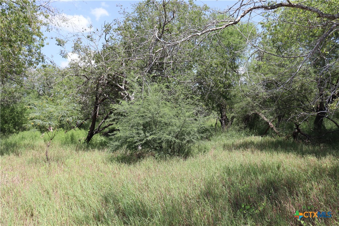 7 County Road 1144, Unit 7 Sinton, TX 78387 - Photo 6 of 12 a view of a lush green space
