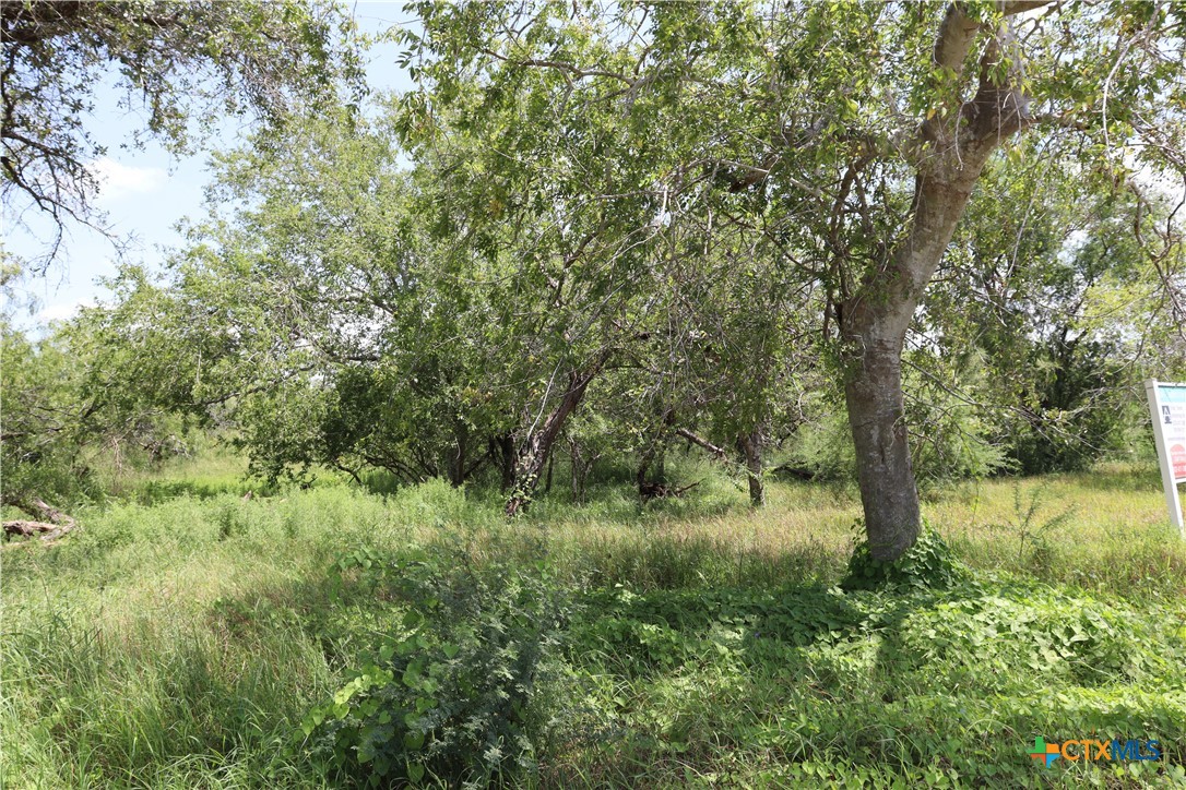7 County Road 1144, Unit 7 Sinton, TX 78387 - Photo 9 of 12 a view of outdoor space with trees all around