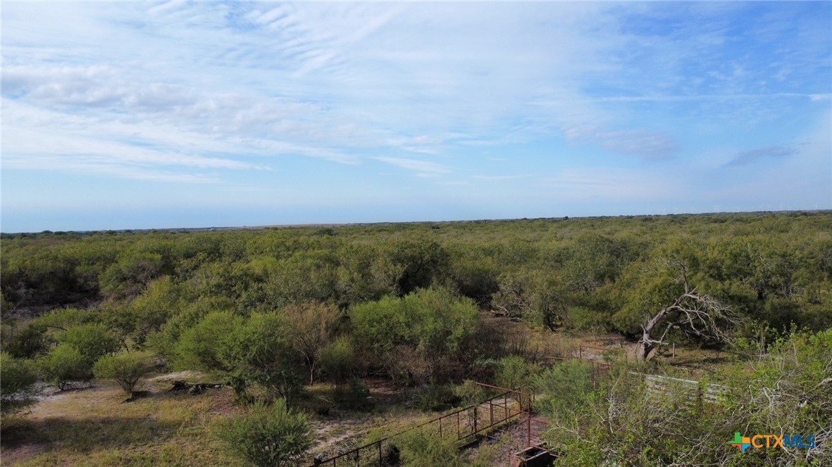 7 County Road 1144, Unit 7 Sinton, TX 78387 - Photo 10 of 12 a view of a field with trees in background