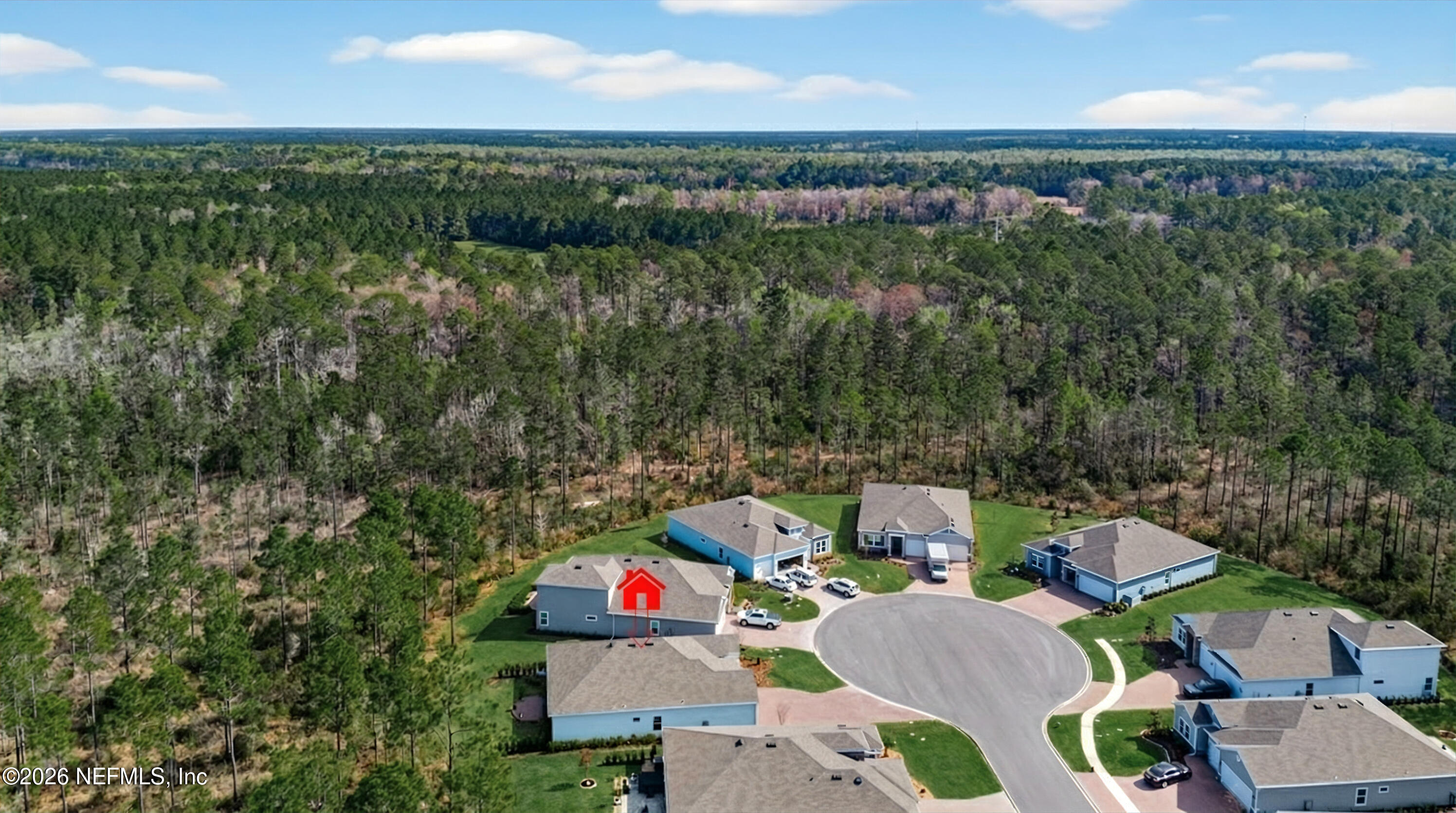 75263 Weathersford Place Yulee, FL 32097 - Photo 65 of 80 75263 Weathersford grass-27