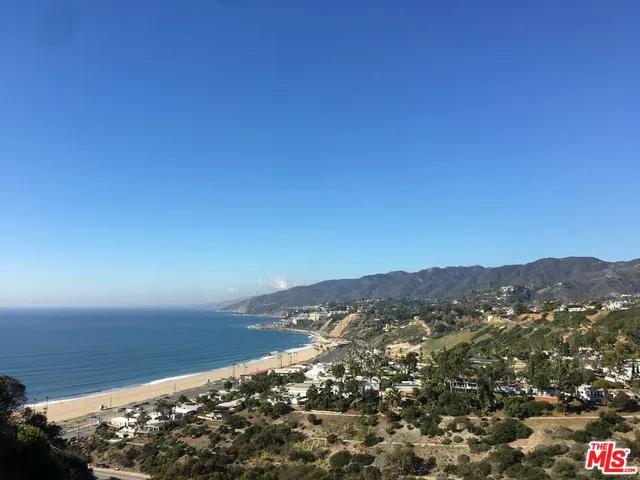 a living room with a table and a potted plant