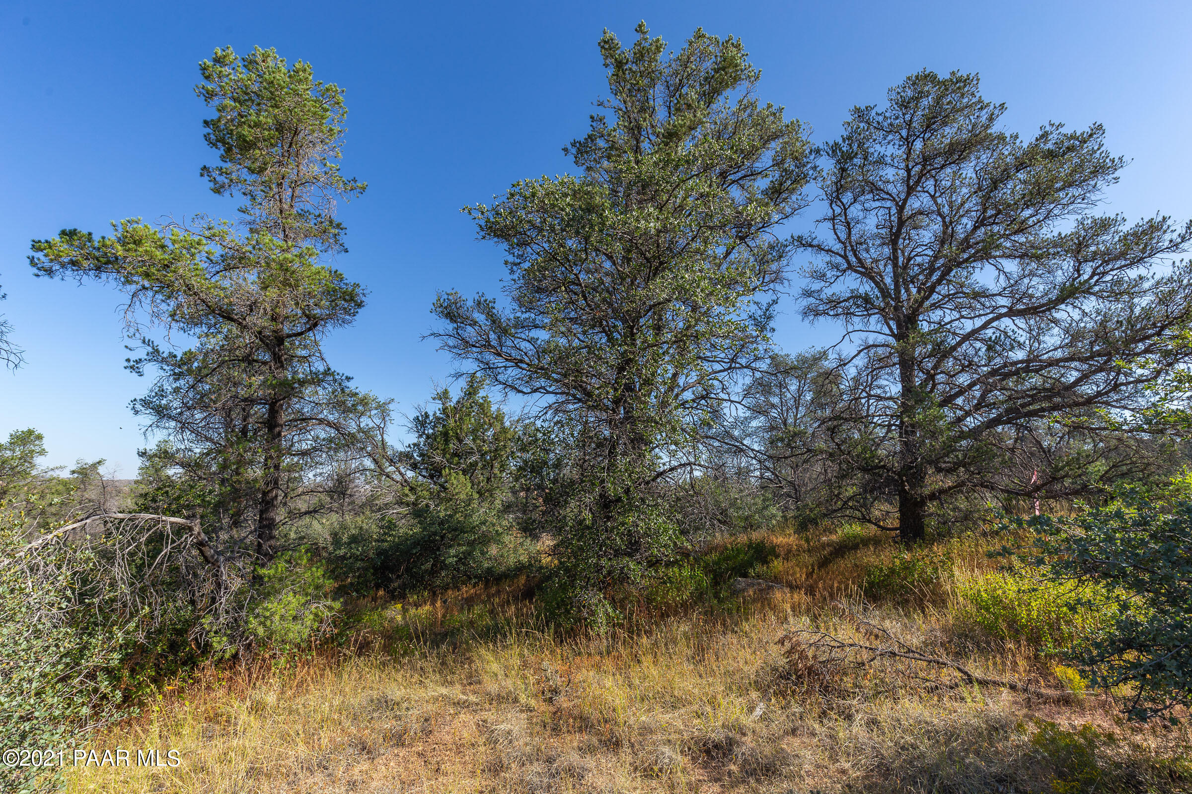 9600 North American Ranch Road Prescott, AZ 86305 - Photo 14 of 36 9600-American-Ranch-GL-13
