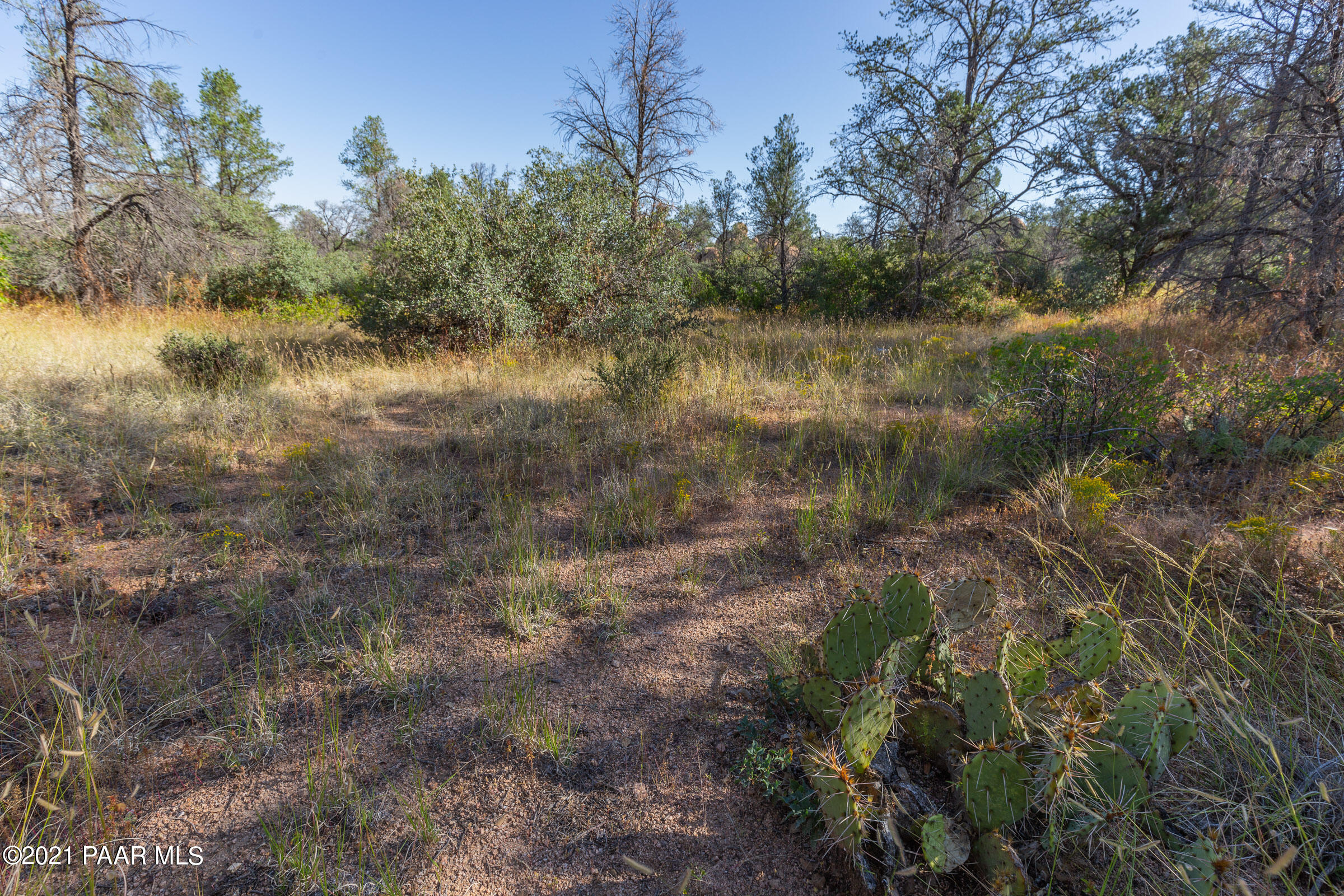 9600 North American Ranch Road Prescott, AZ 86305 - Photo 23 of 36 9600-American-Ranch-GL-22
