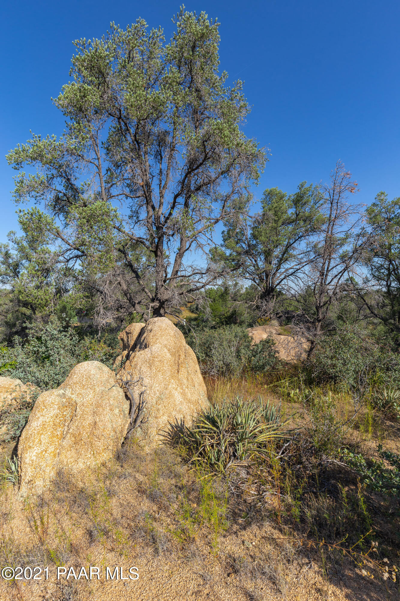 9600 North American Ranch Road Prescott, AZ 86305 - Photo 25 of 36 9600-American-Ranch-GL-24