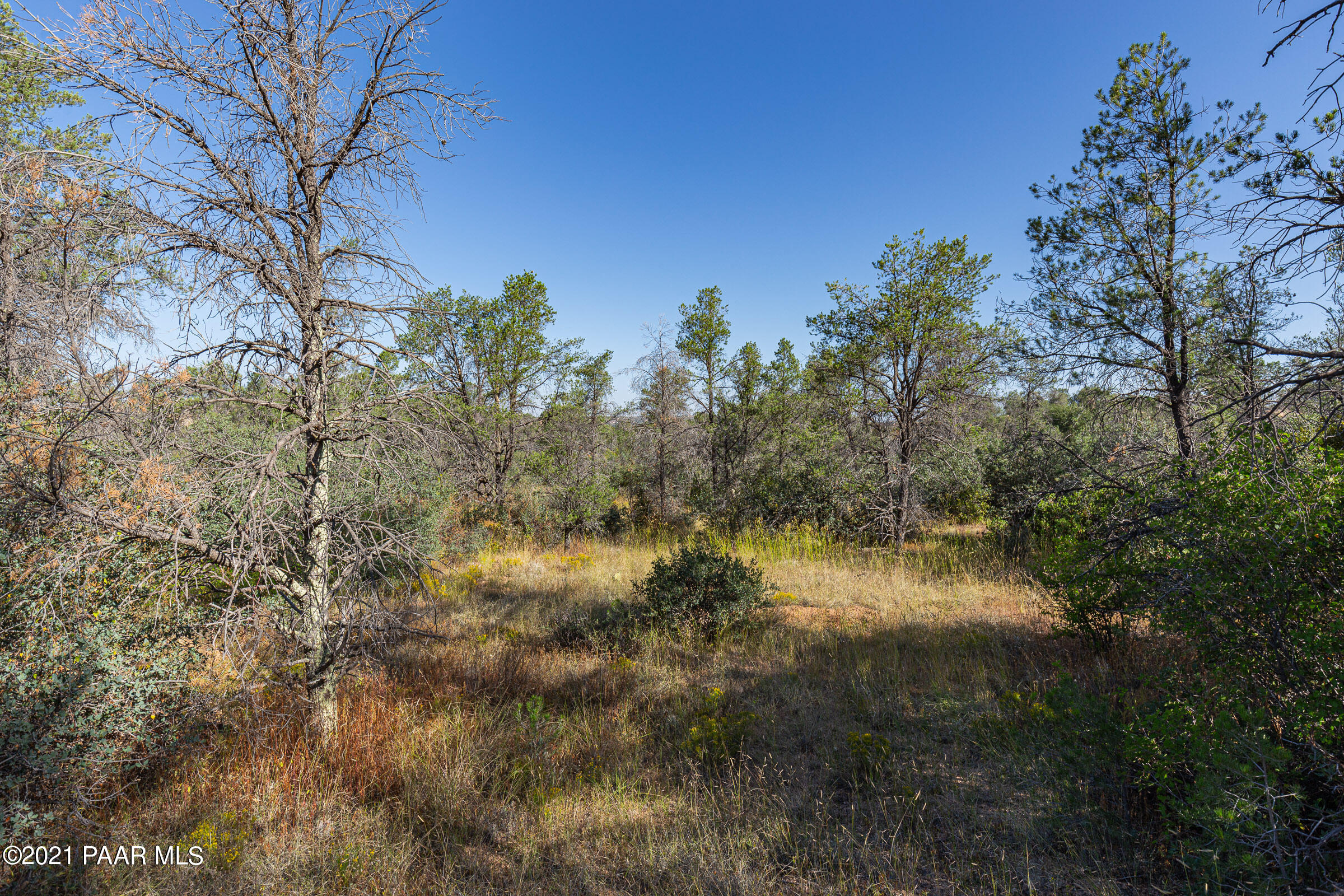 9600 North American Ranch Road Prescott, AZ 86305 - Photo 10 of 36 9600-American-Ranch-GL-9
