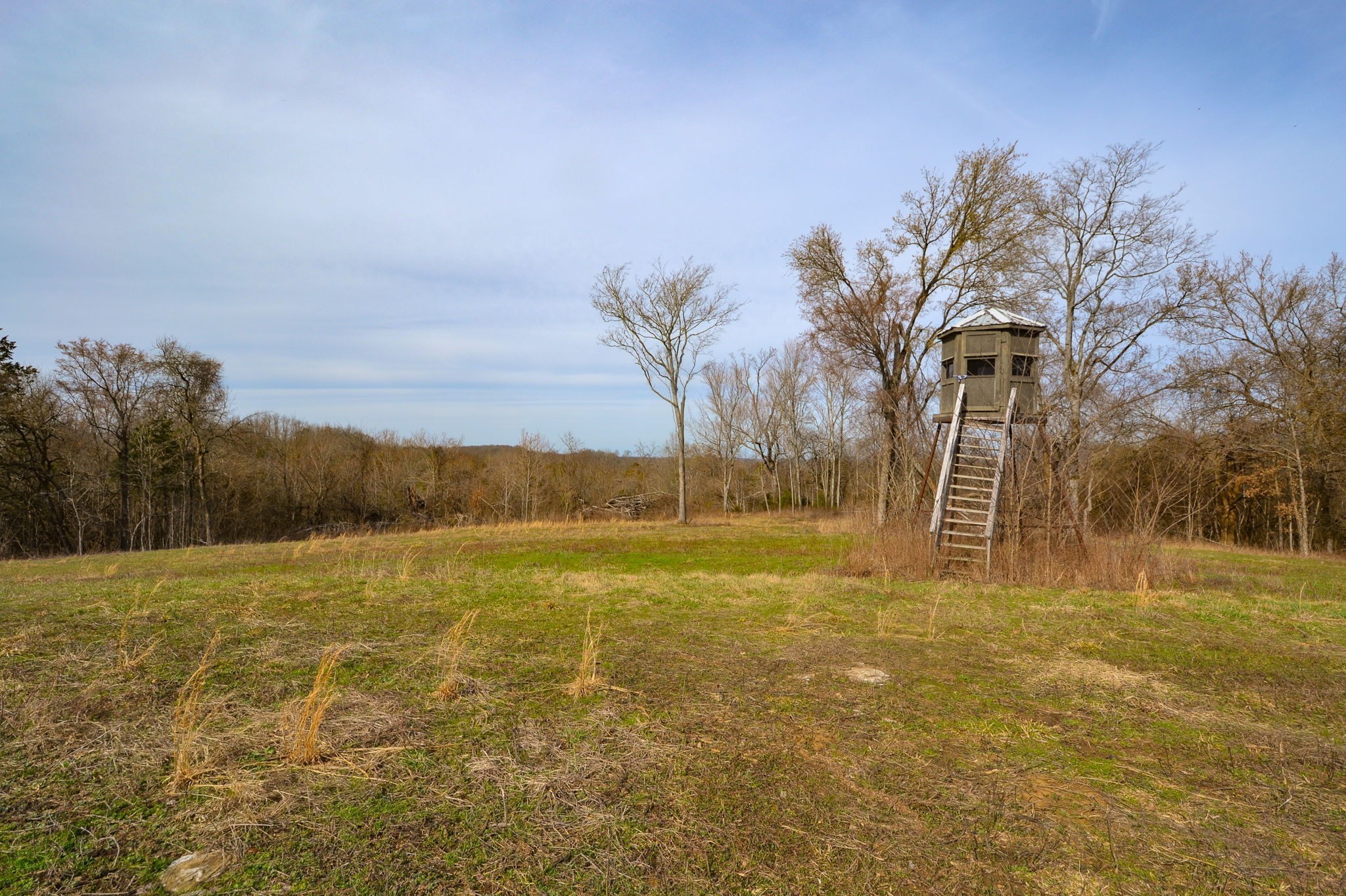 2451 Round Hill Road Lewisburg, TN 37091 - Photo 54 of 70 Gallery Image 54