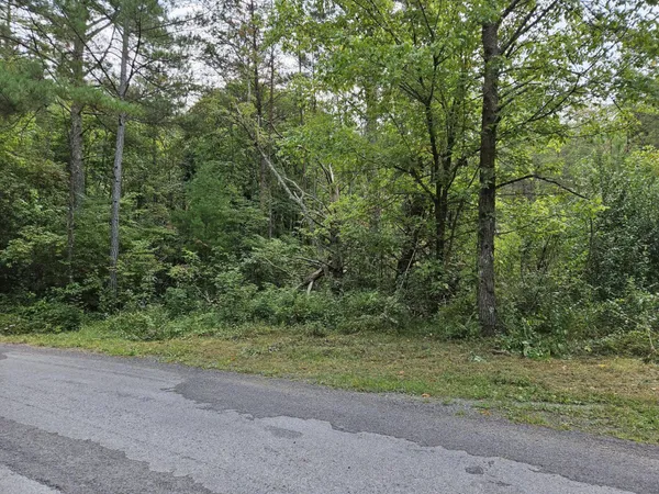 a view of a yard with a trees