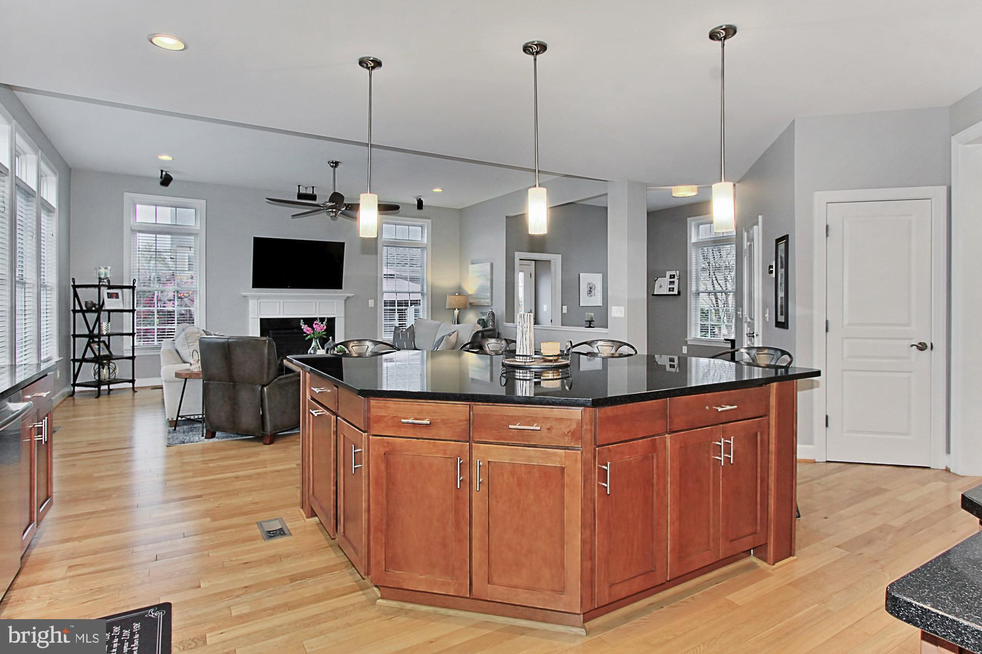 42489 Spring Splendor Drive Brambleton, VA 20148 - Photo 11 of 60 Gallery Image 11