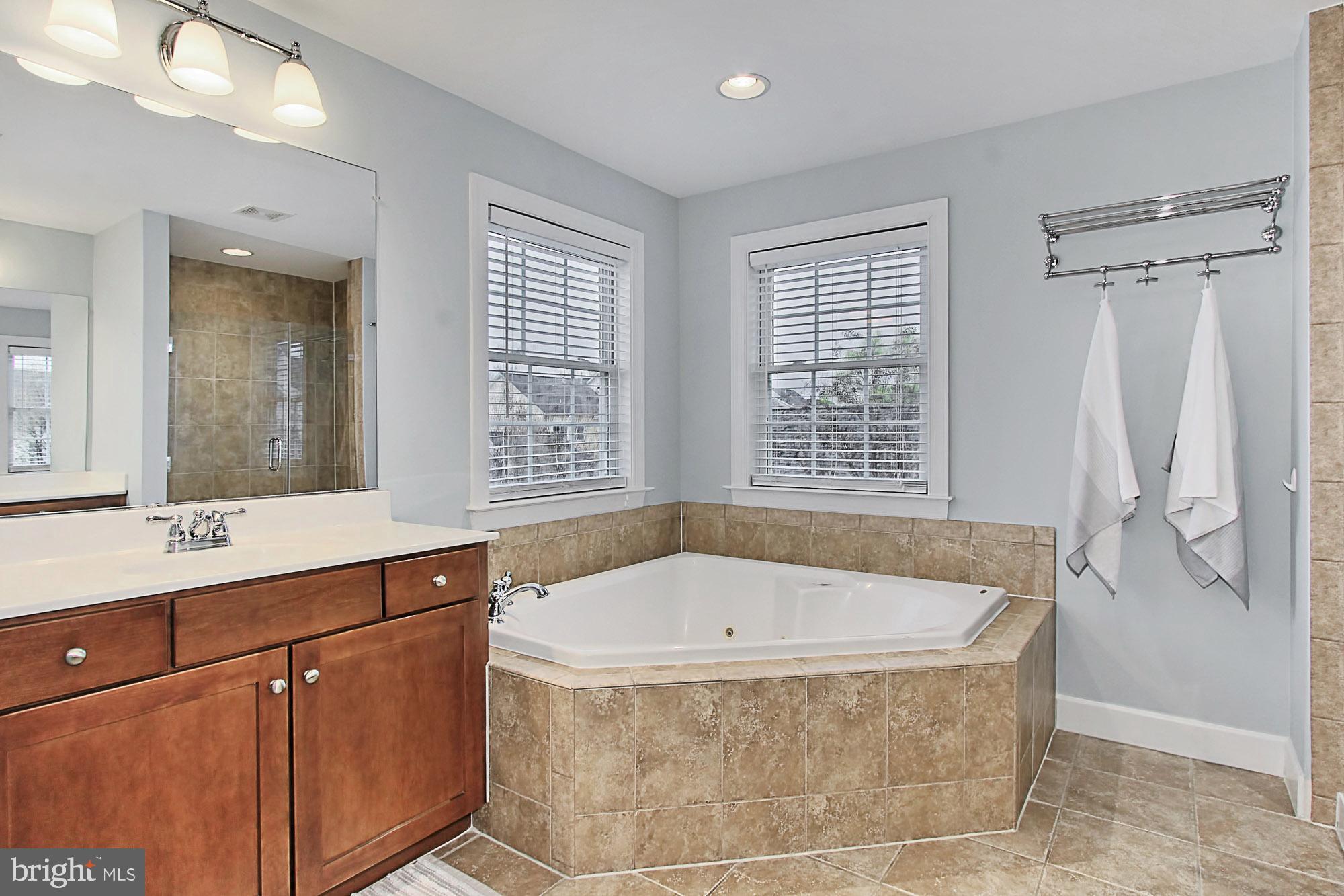42489 Spring Splendor Drive Brambleton, VA 20148 - Photo 23 of 60 Gallery Image 23