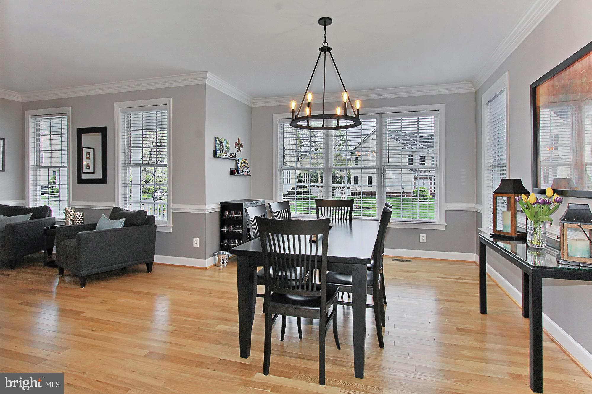 42489 Spring Splendor Drive Brambleton, VA 20148 - Photo 8 of 60 Gallery Image 8