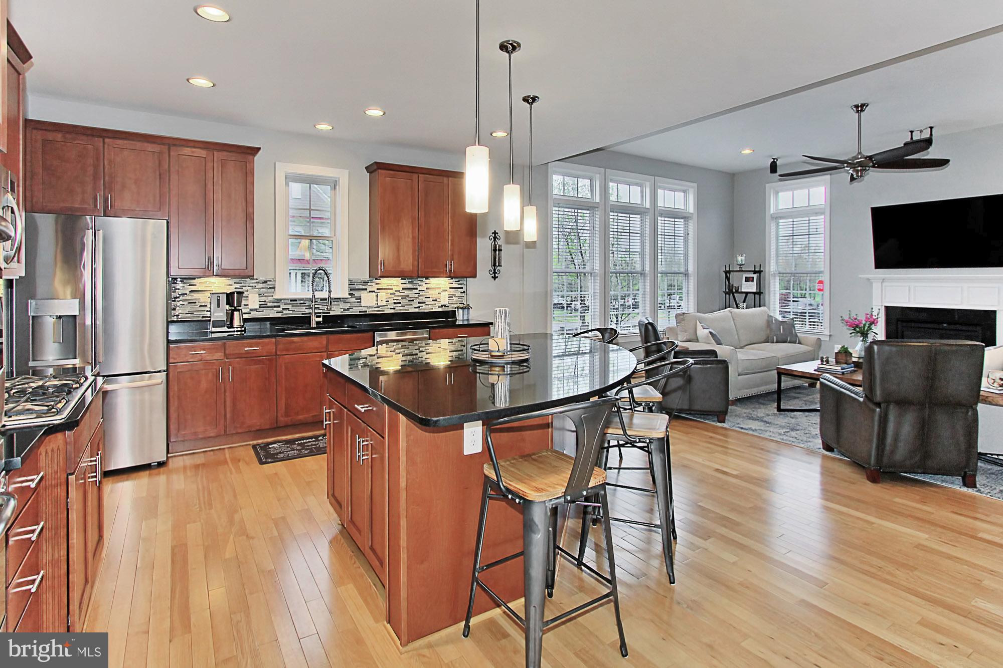 42489 Spring Splendor Drive Brambleton, VA 20148 - Photo 10 of 60 Gallery Image 10