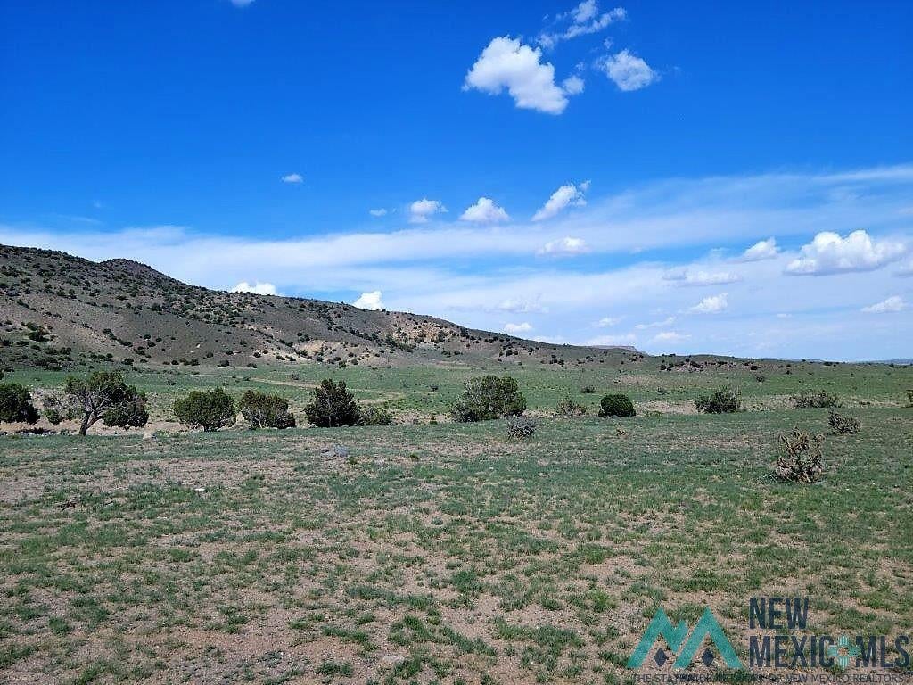 Tbd Rinconada Road San Fidel, NM 87049 - Photo 23 of 40