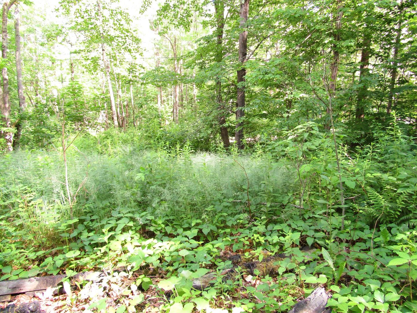 8 Williams Road Vassalboro, ME 04989 - Photo 2 of 11 2 (Copy)