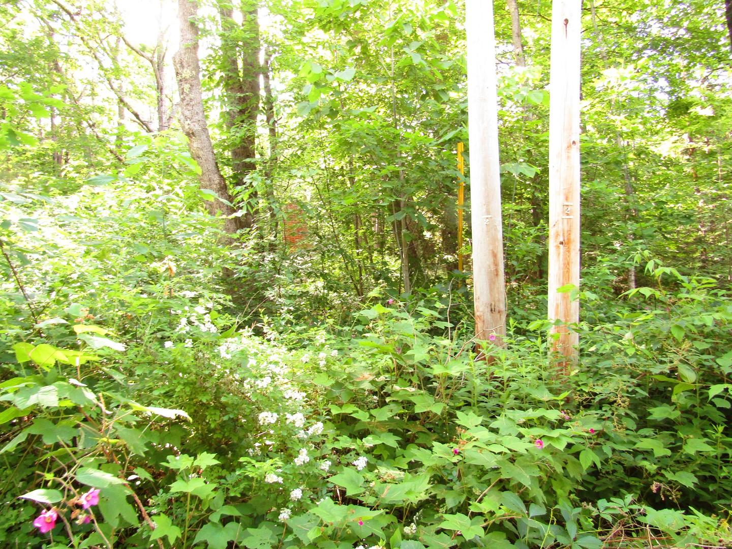 8 Williams Road Vassalboro, ME 04989 - Photo 4 of 11 4 (Copy)