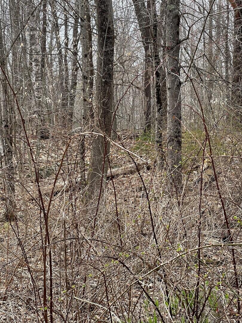 8 Williams Road Vassalboro, ME 04989 - Photo 8 of 11 8 (Copy)