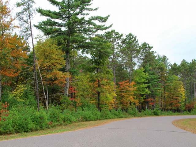 Lot 49 Bosshard Cir Road Woodruff, WI 54568 - Photo 5 of 20 Gallery Image 5