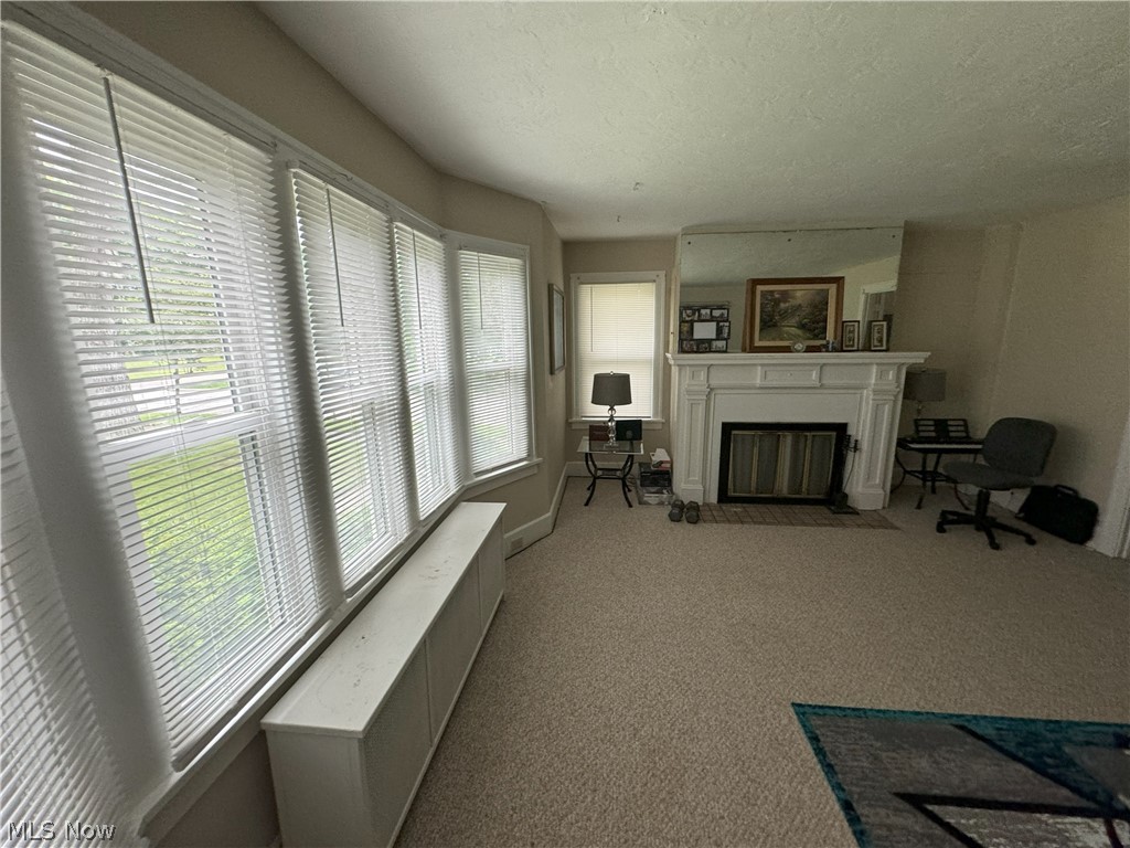 317 Center Road Bedford, OH 44146 - Photo 14 of 16 Living room with a healthy amount of sunlight, a textured ceiling, and light carpet