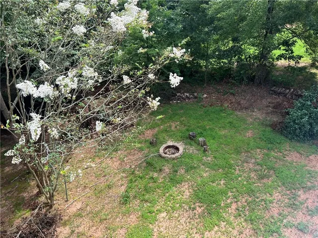 a view of an outdoor space with a tree