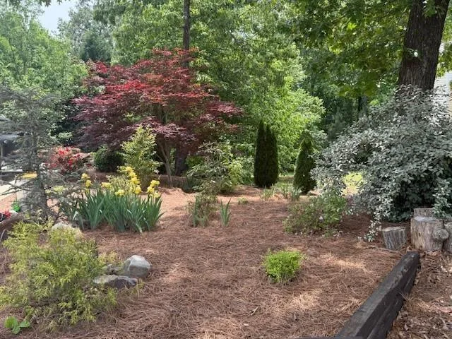 a backyard of a house with large trees