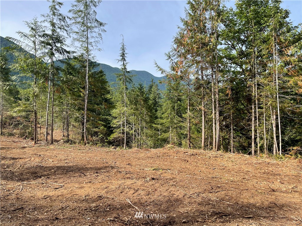 5-xx Cougar Run Road Quilcene, WA 98376 - Photo 4 of 12 Gallery Image 4