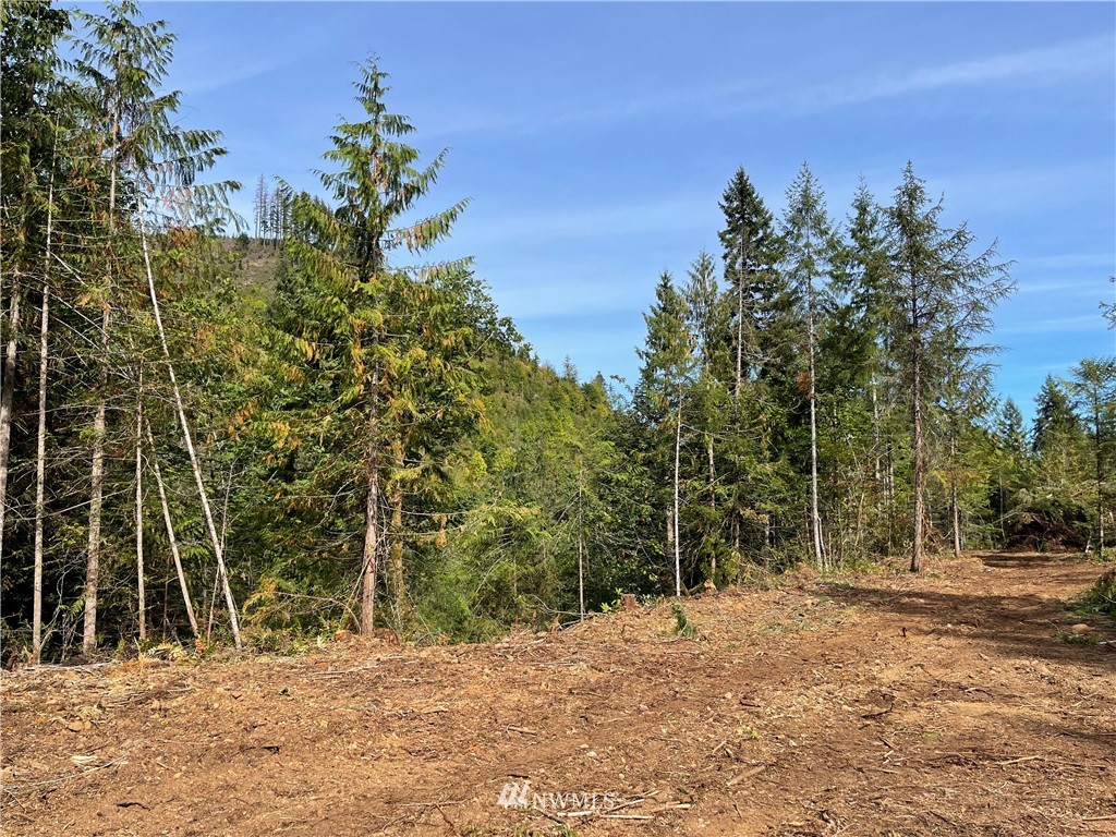 5-xx Cougar Run Road Quilcene, WA 98376 - Photo 5 of 12 Gallery Image 5