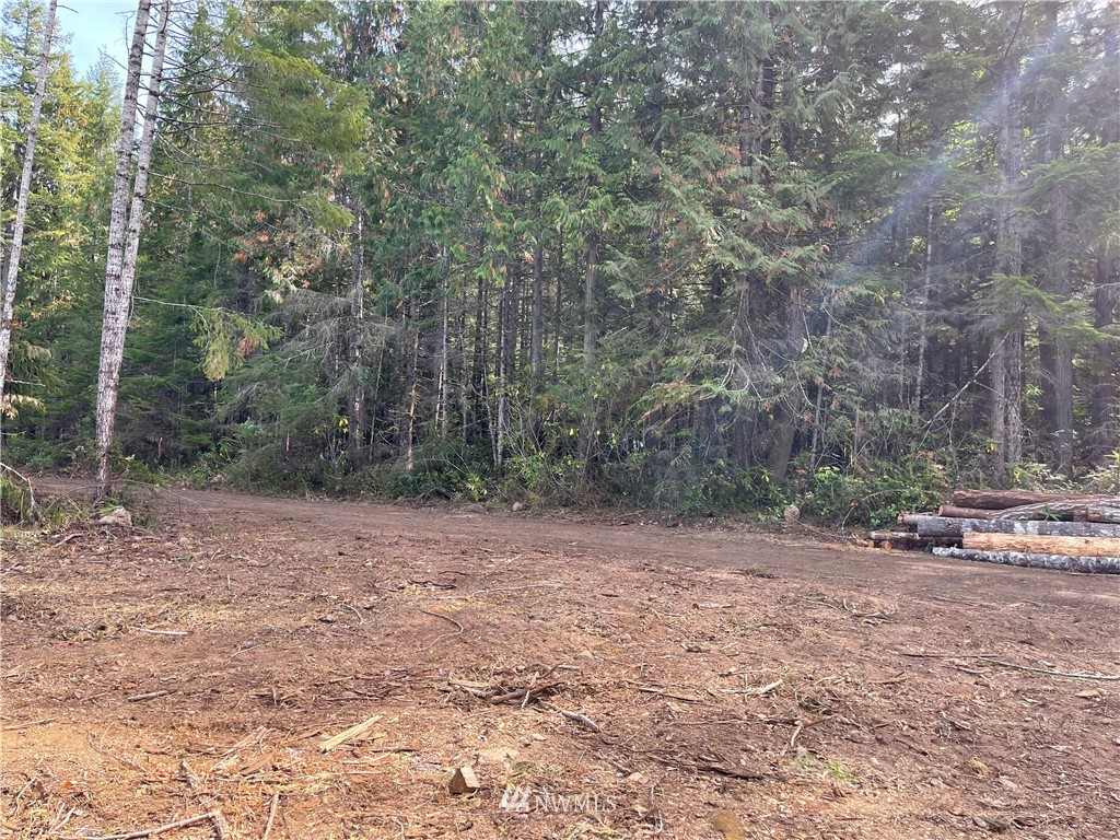 5-xx Cougar Run Road Quilcene, WA 98376 - Photo 8 of 12 Gallery Image 8