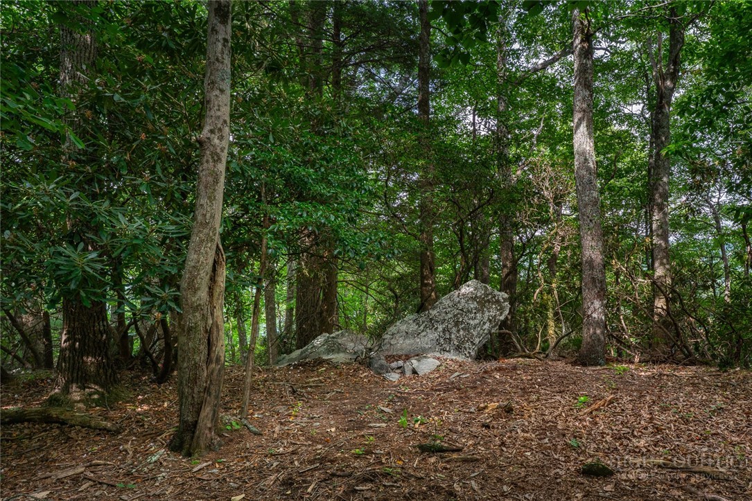 Lot 4 Old Orchard Road Lenoir, NC 28645 - Photo 13 of 23
