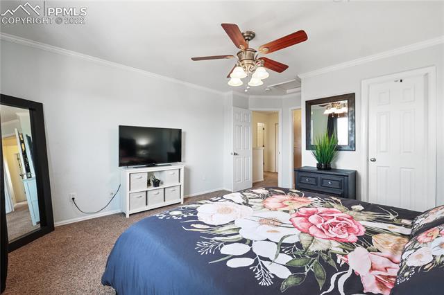 5322 Gentle Wind Road Colorado Springs, CO 80922 - Photo 23 of 47