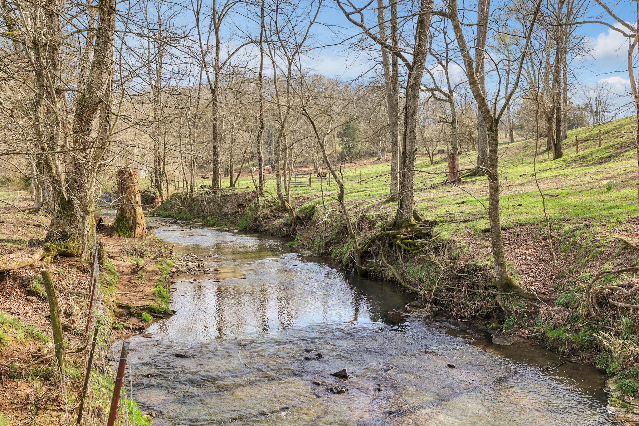0 Hopewell Road Culleoka, TN 38451 - Photo 5 of 26 Gallery Image 5