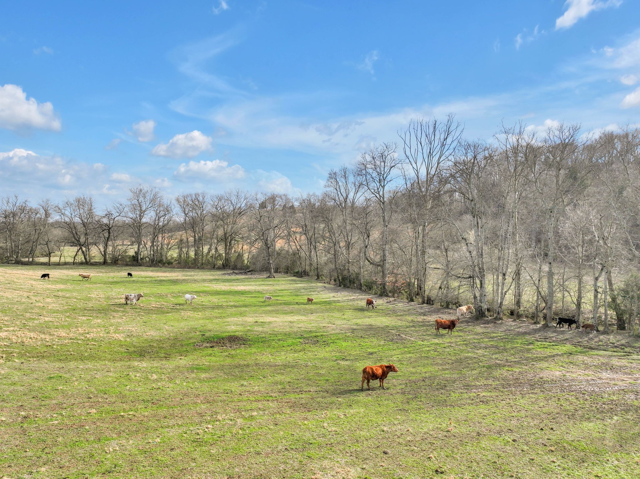 0 Hopewell Road Culleoka, TN 38451 - Photo 8 of 26 Gallery Image 8