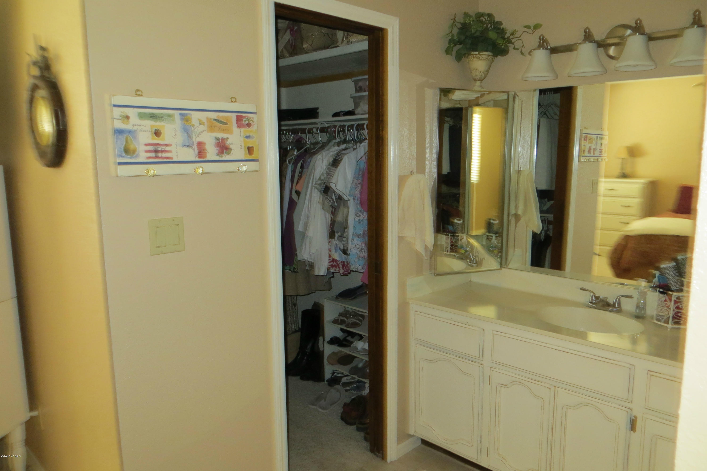 3046 East Decatur Street Mesa, AZ 85213 - Photo 18 of 33 IMG_0329