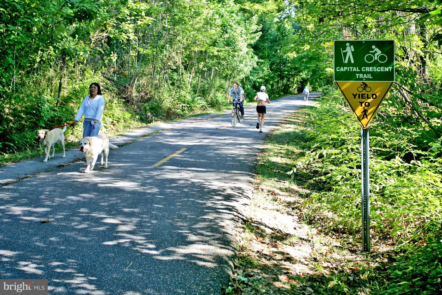 4421 Ridge Street Chevy Chase, MD 20815 - Photo 18 of 19 Community