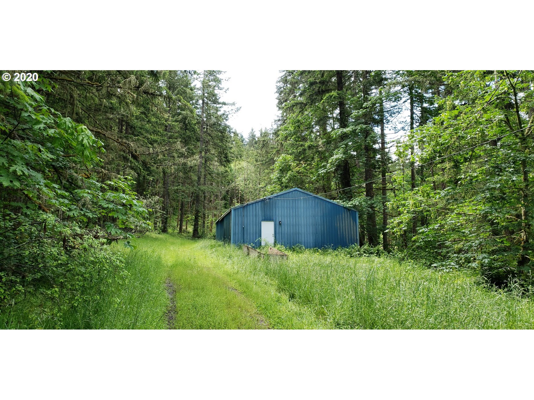 82730 Rattlesnake Road Dexter, OR 97431 - Photo 3 of 20