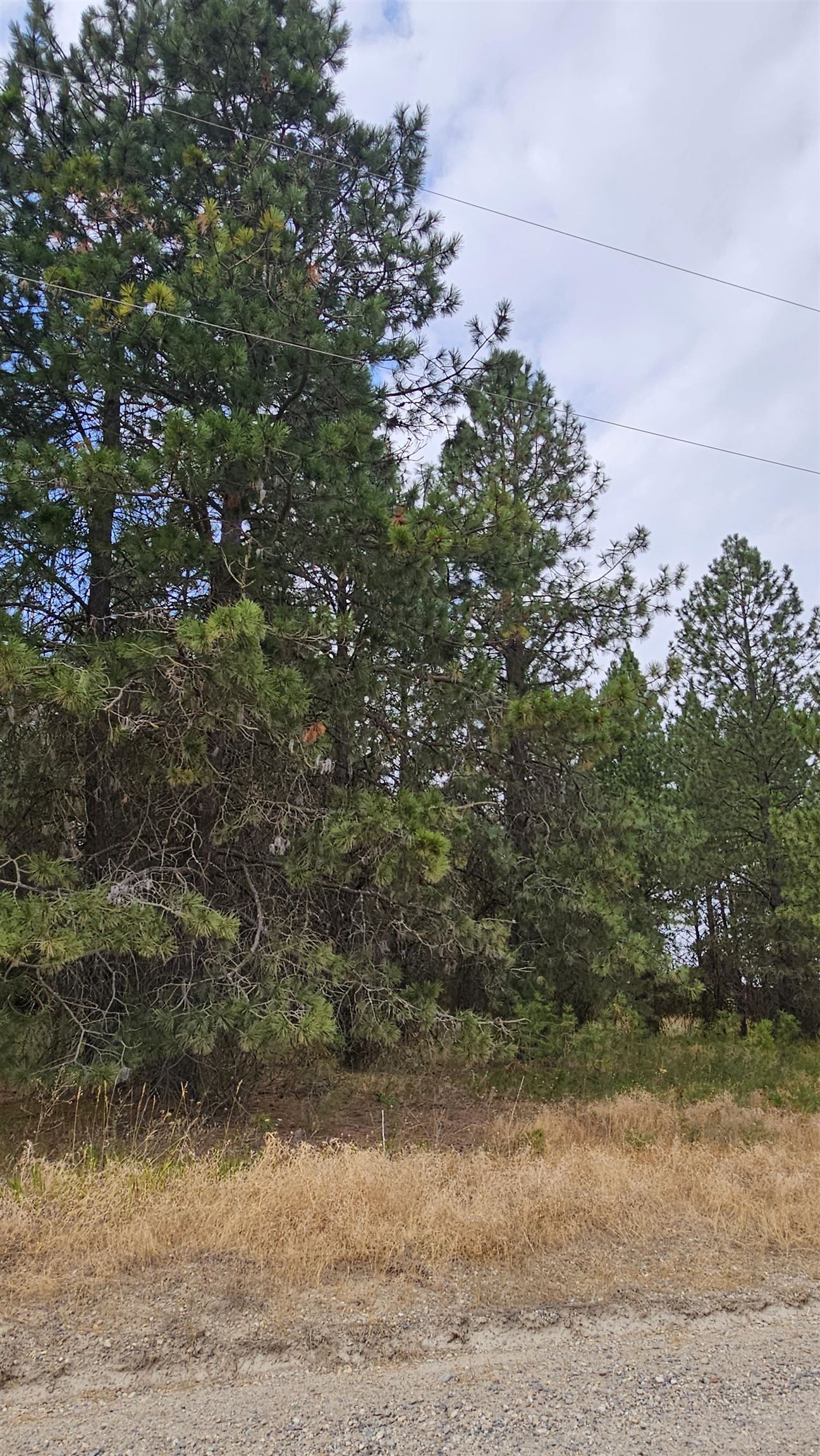 0 North Mill Road Deer Park, WA 99006 - Photo 16 of 17 Gallery Image 16
