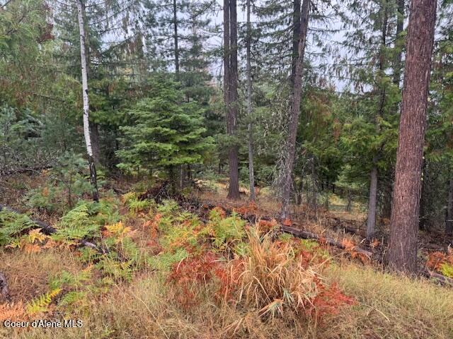 Nka Nka Parcel B Pinehurst, ID 83850 - Photo 7 of 10 Photo