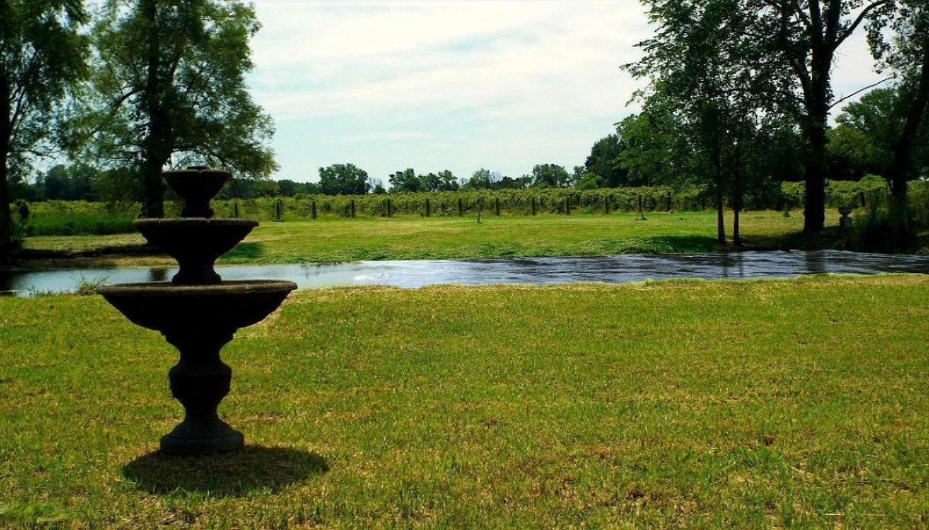 3223 Kaiser Road Three Oaks, MI 49128 - Photo 23 of 24 Vineyard and pond close up