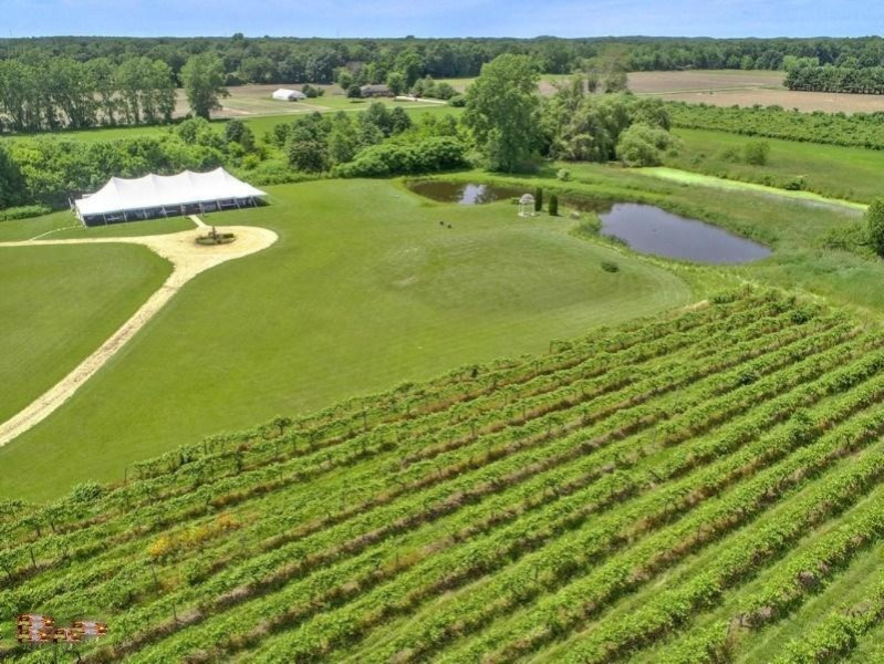 3223 Kaiser Road Three Oaks, MI 49128 - Photo 3 of 24 Drone tent & pond