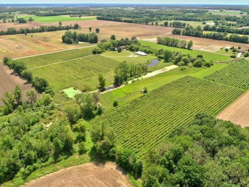 3223 Kaiser Road Three Oaks, MI 49128 - Photo 4 of 24 Drone entire prop 2