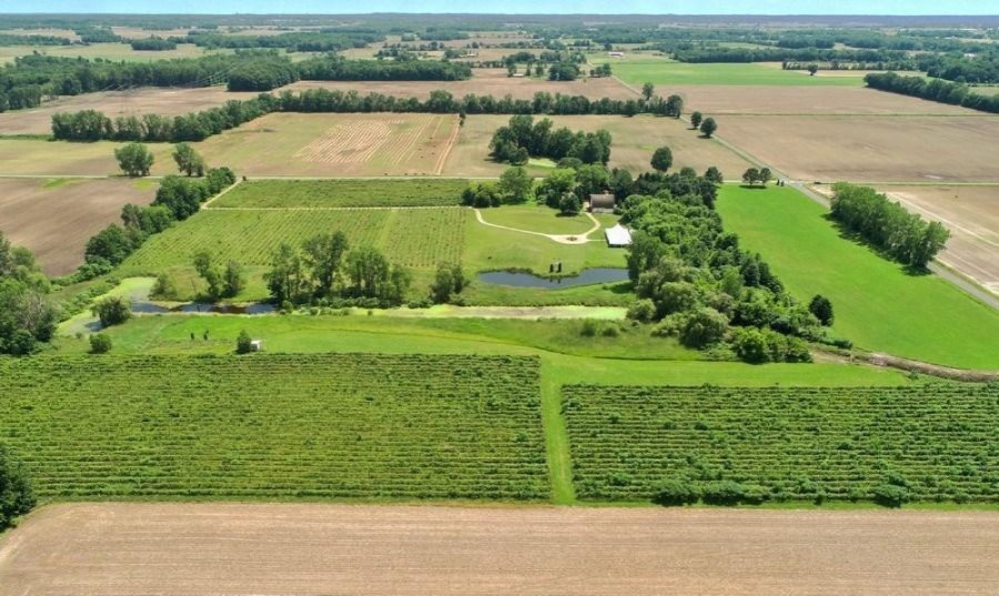 3223 Kaiser Road Three Oaks, MI 49128 - Photo 5 of 24 Drone entire prop 3
