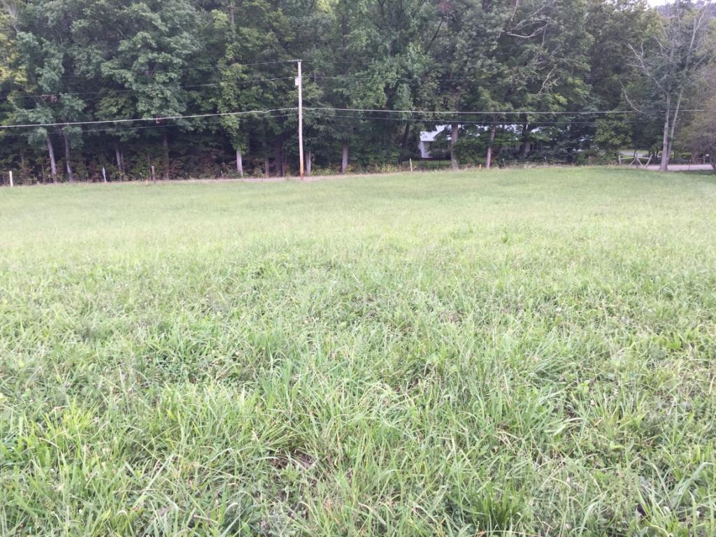 690 Laurels Road, Unit 8 Johnson City, TN 37601 - Photo 3 of 5 Photo 3