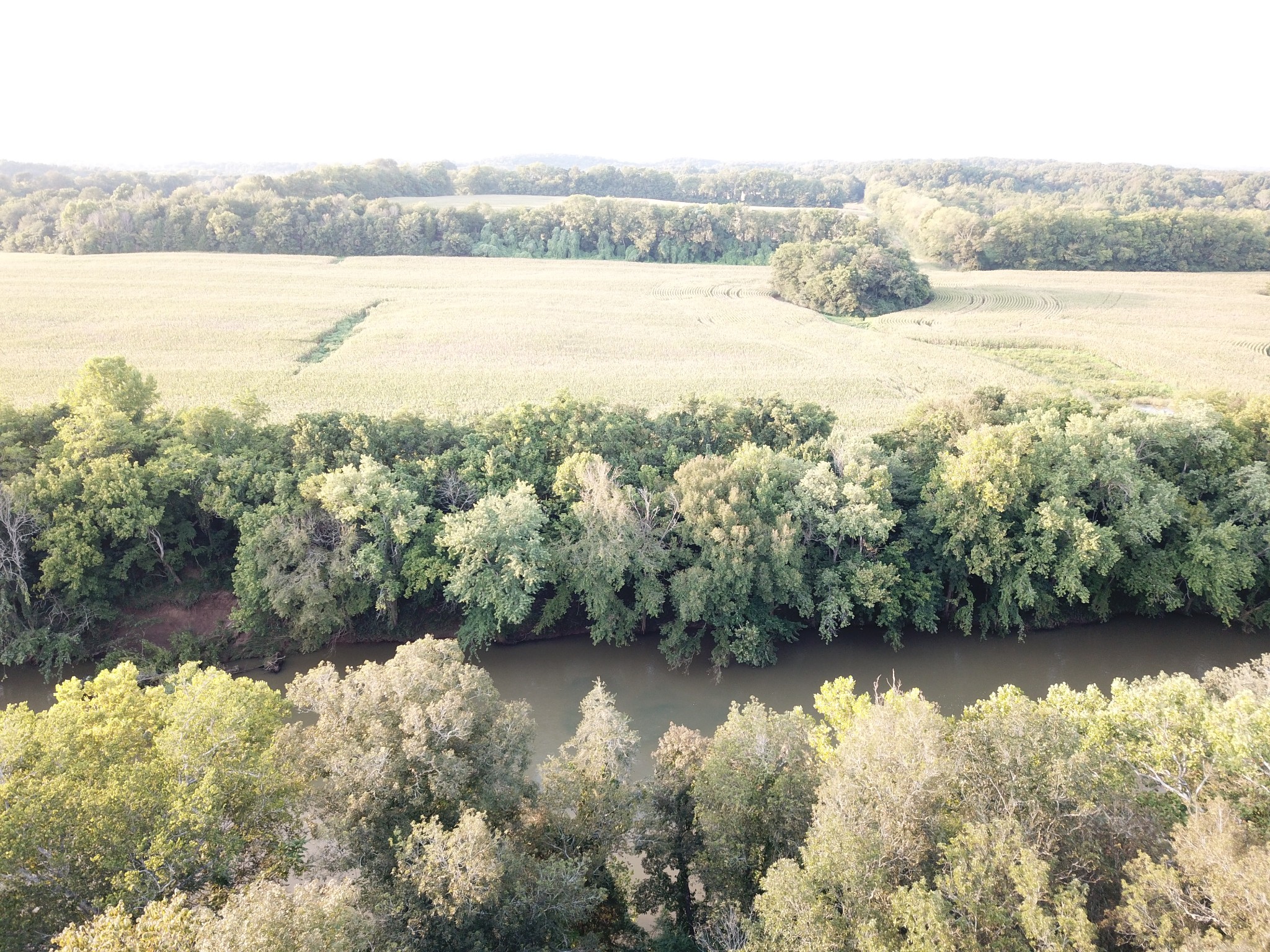 2587 Newcut Road Columbia, TN 38401 - Photo 22 of 43 Gallery Image 22