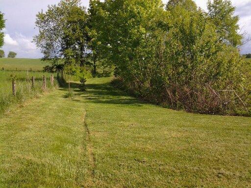 775 Etna Church Road Eubank, KY 42567 - Photo 20 of 27 Additional Photo