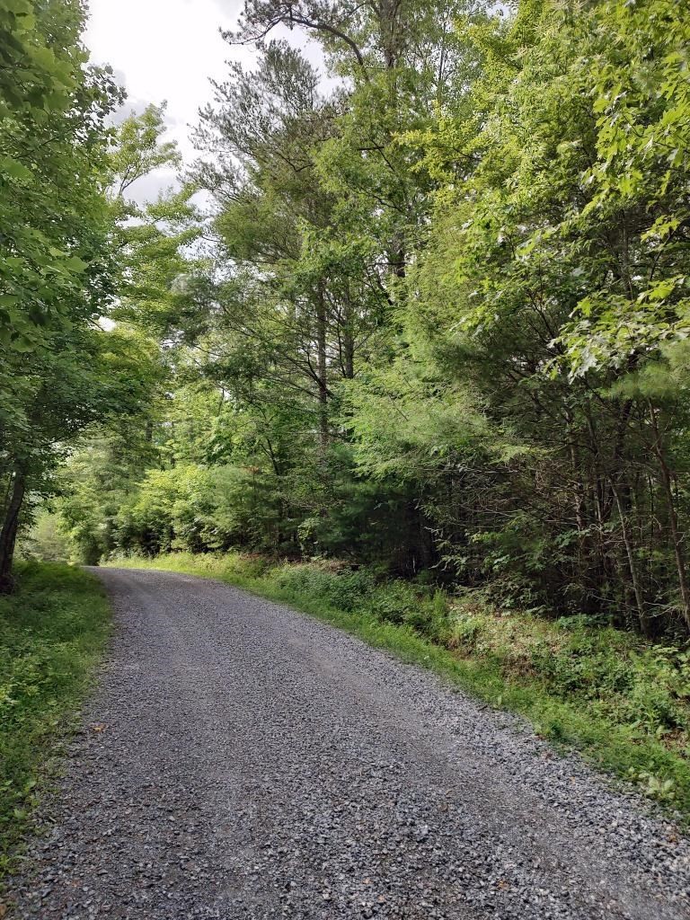 4238 Ridge Road Hartford, TN 37753 - Photo 11 of 41 Gallery Image 11
