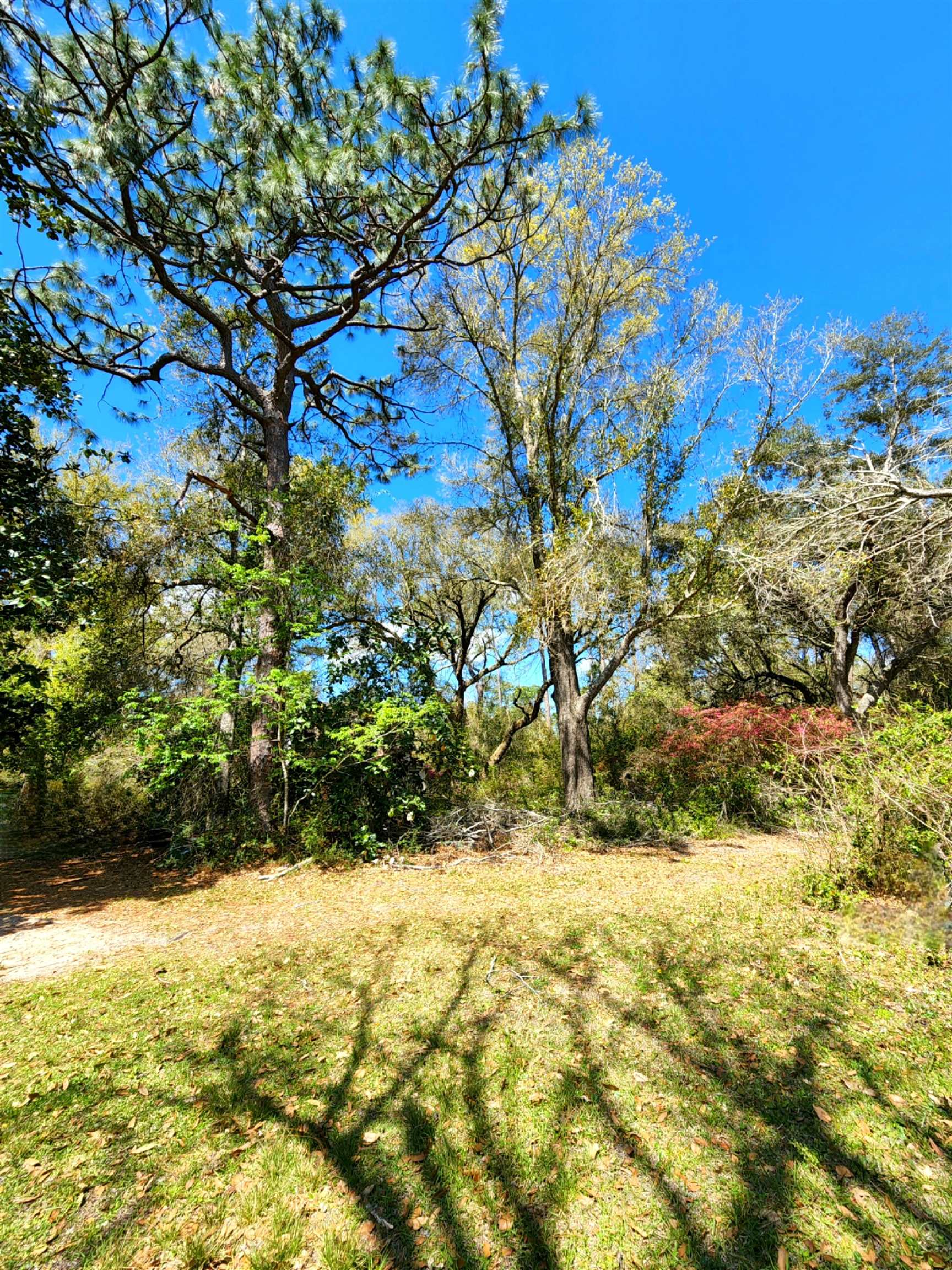 13315 North Perdido Street Lillian, AL 36549 - Photo 16 of 20