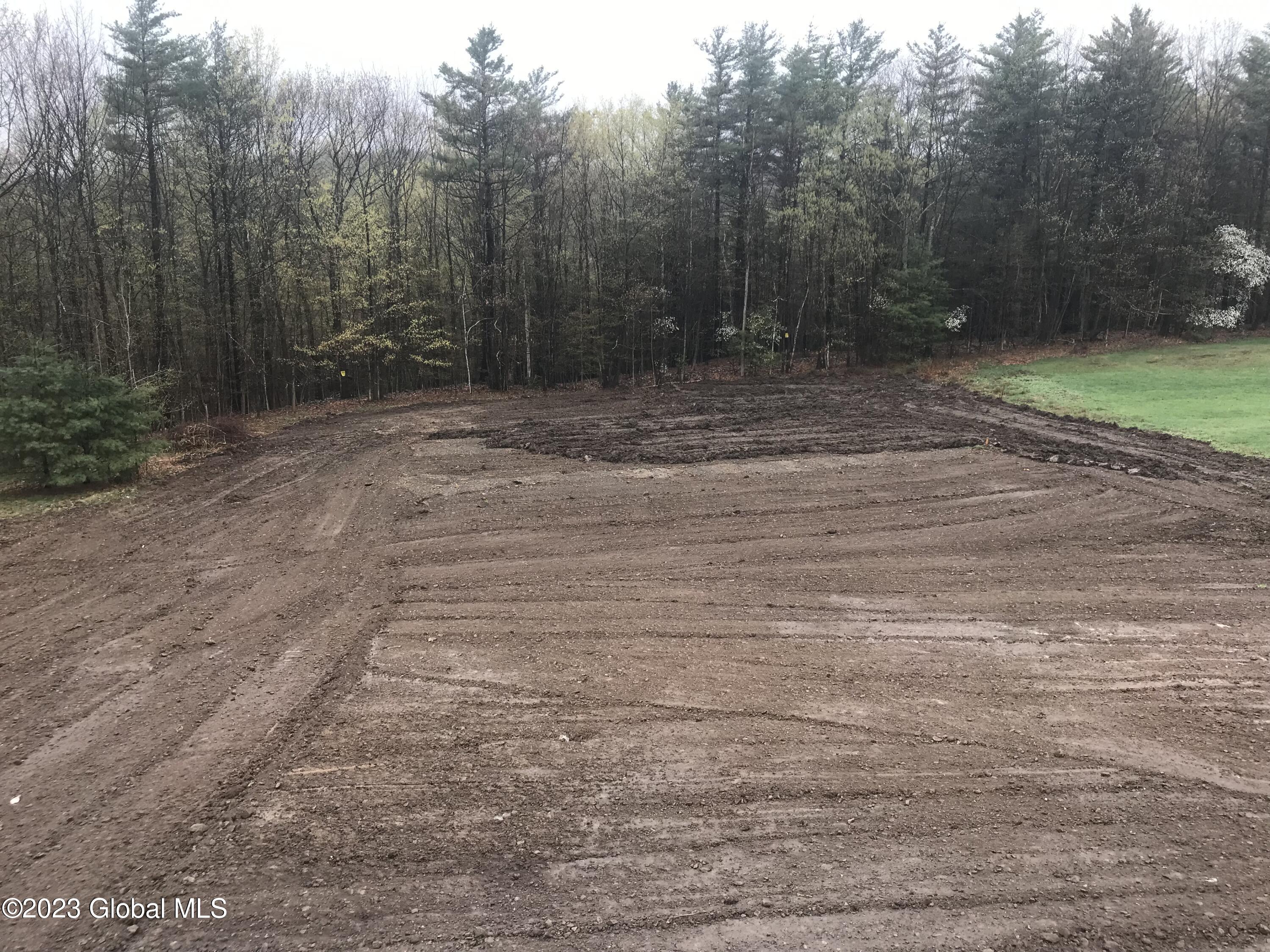 59 Mosher Road Sand Lake, NY 12153 - Photo 17 of 27 Mosher yard