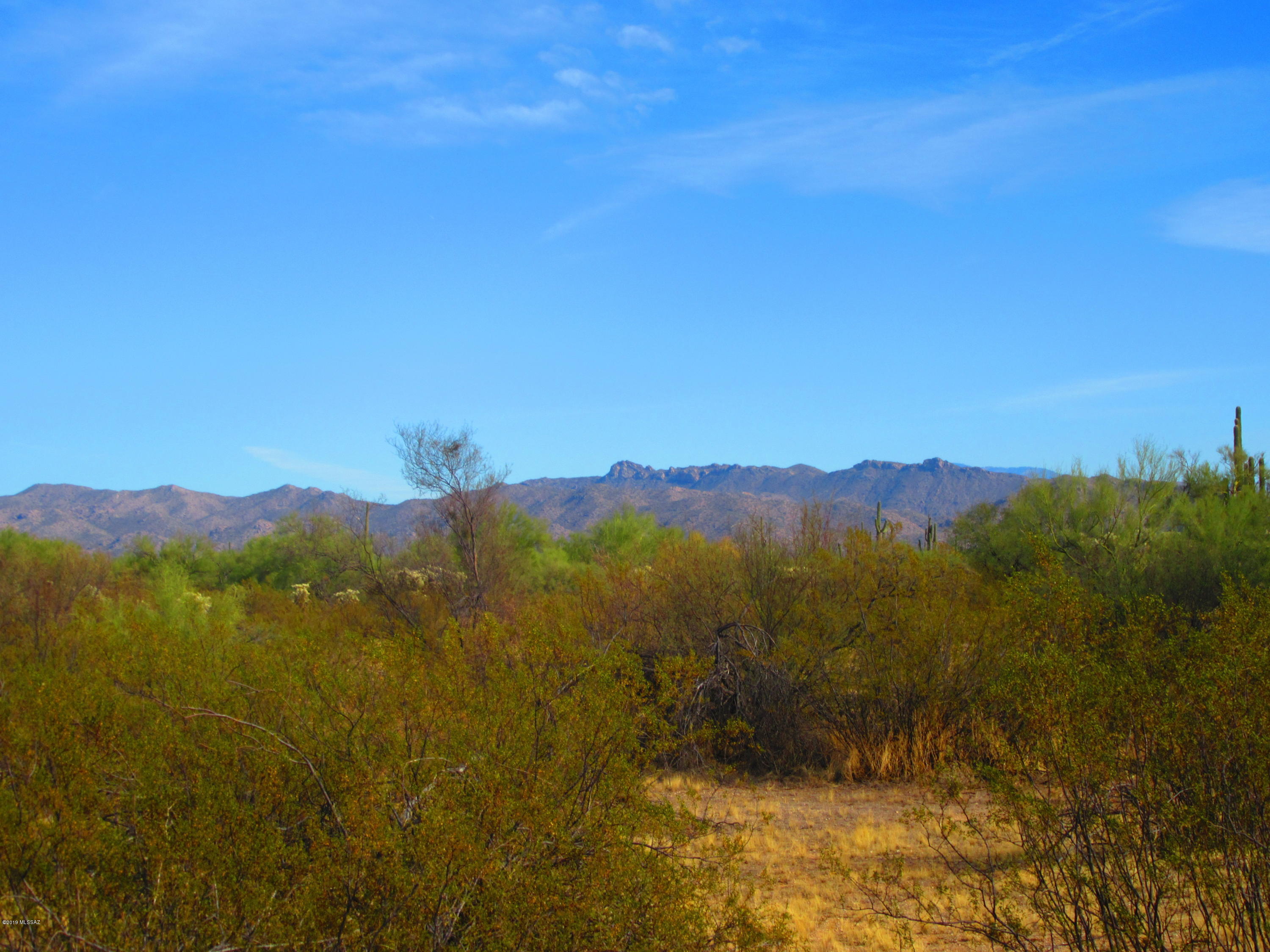 Cattle Tank, Unit 20AC Marana, AZ 85658 - Photo 4 of 17