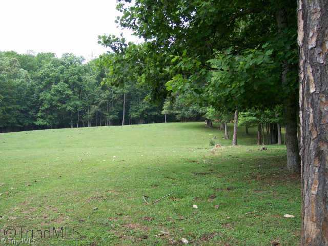0 Bluegrass Lane Pinnacle, NC 27043 - Photo 2 of 5 Other.